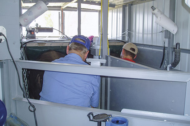 Portable double -breeding barn