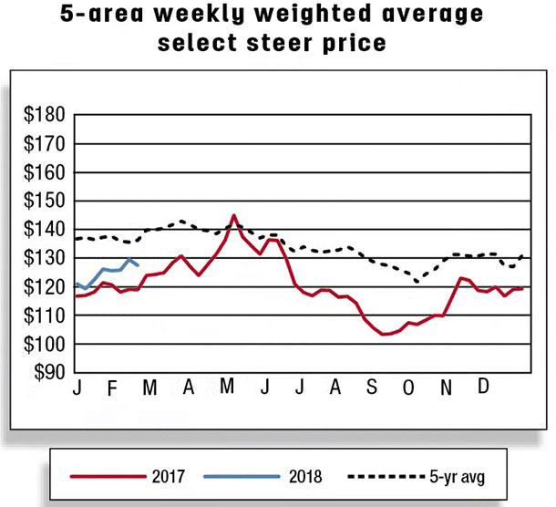 5 area weekly weighted average select steer price