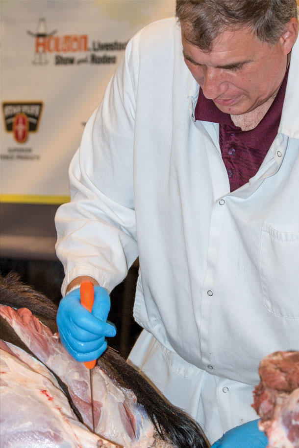 Dan Hale demonstrating