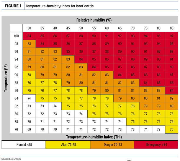 Relative humidity