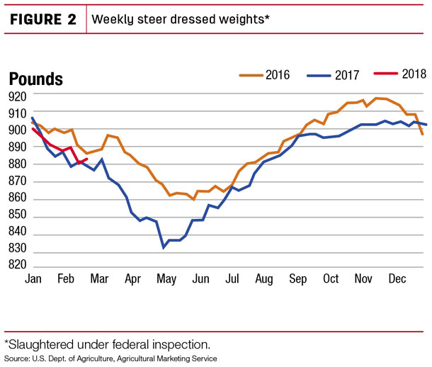 Weekly steer dressed weights