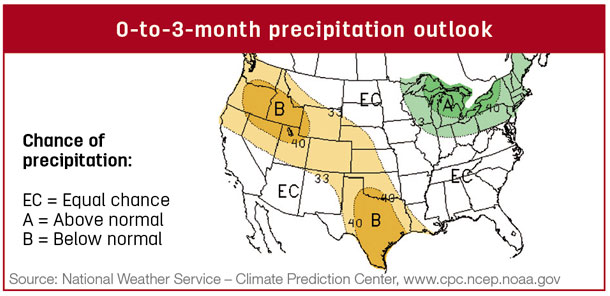 precip map