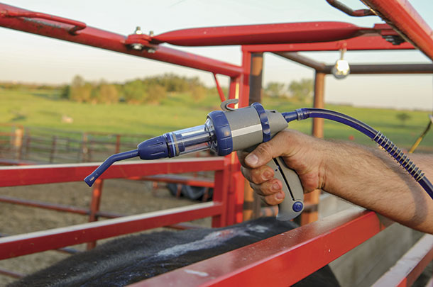 Other processes, such as DNA test, vaccine, dewormer or fly cntrol can also be recorded at the same time.