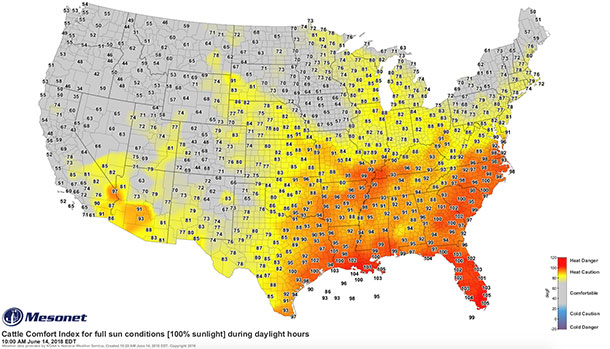 cattle comfort index