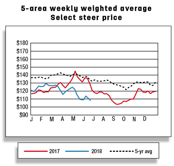 5 area weekly weighted average select steer price