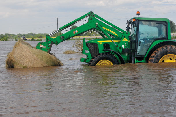 They lost over 200 bales to the flood