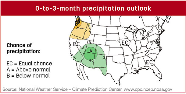 Precipitation map