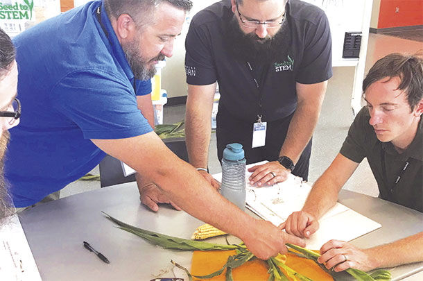 Participants take part in a corn anatomy dissection lab