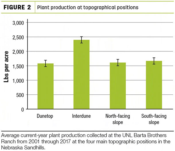 Plant production at topographical positions