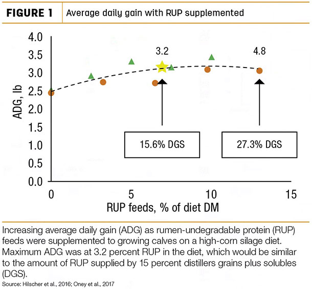 Average daily gain with RUP supplemented