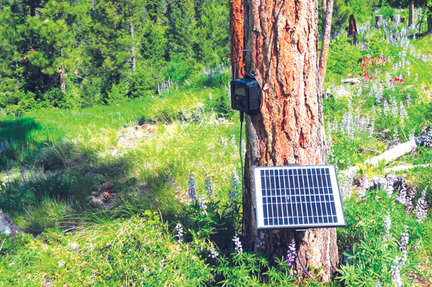 trail camera