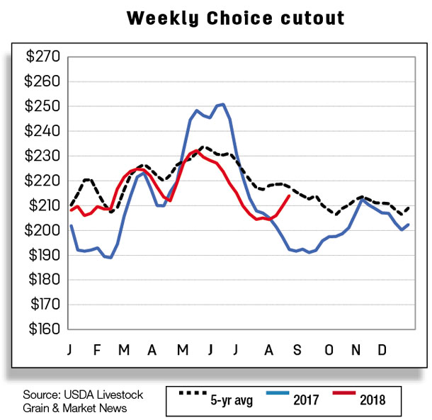 weekly choice