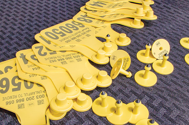 Project tags