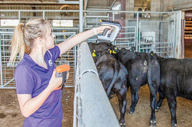 Handeld UHF reader captures the first data