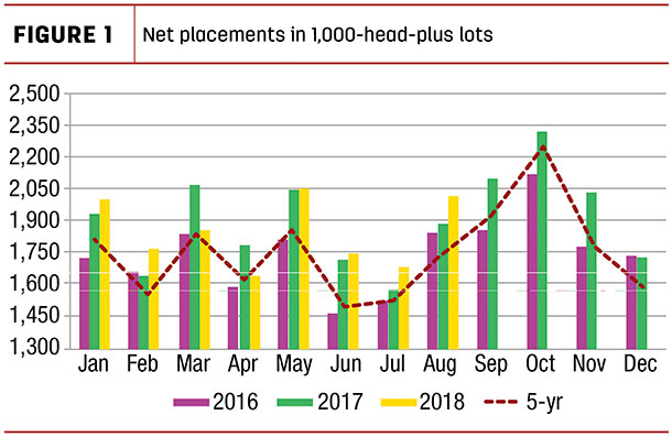 Net placements in 1,000 head plus lots