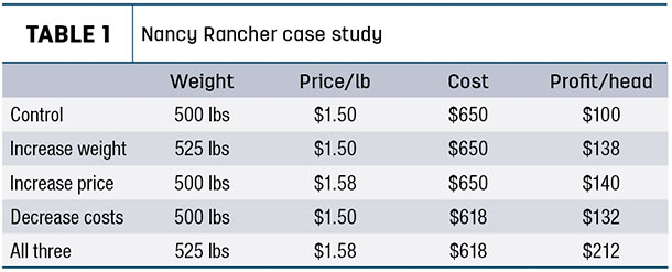 Nancy Rancher case study