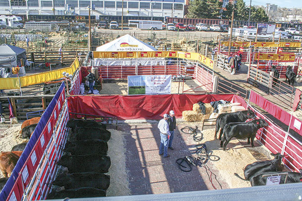 Producer's pen at NWSS
