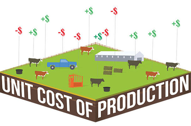 Unit cost of production