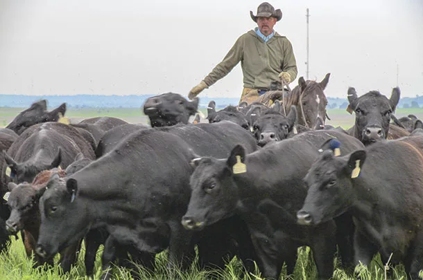 Jeff Owen, ranch manager of Spur Ranch