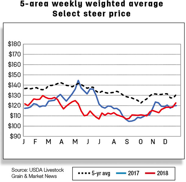 5-area weekly weighted average select steer price