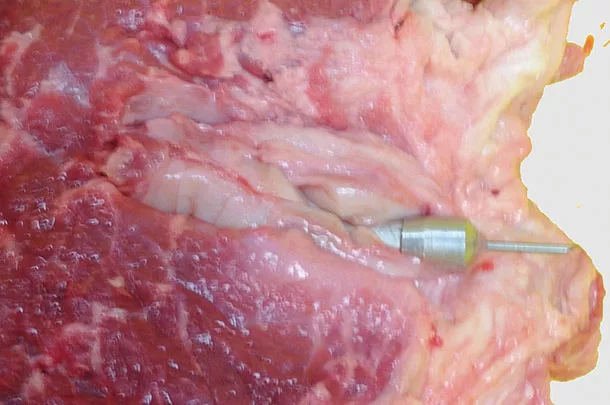 A remote drug delivery device dart