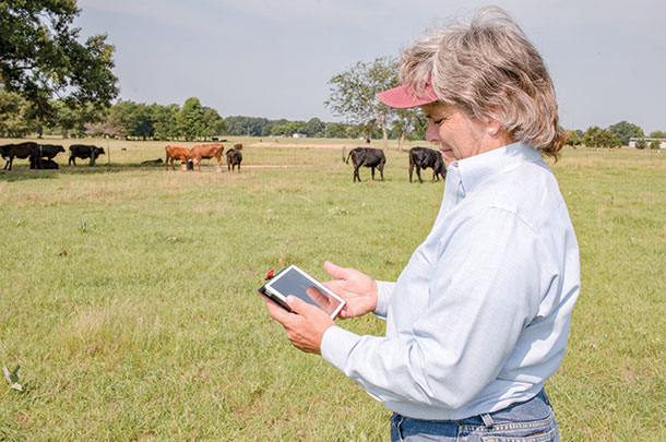 Using software designed for ranch recordkeeping