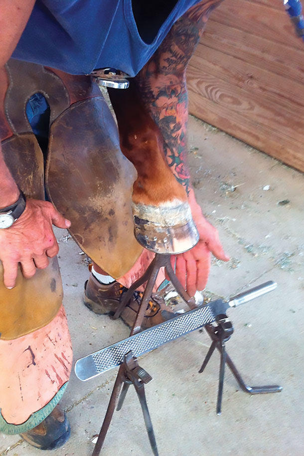 a hoof stand with slots for holding your tools