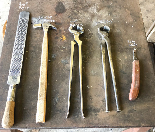 Basics tools for hoof trimming