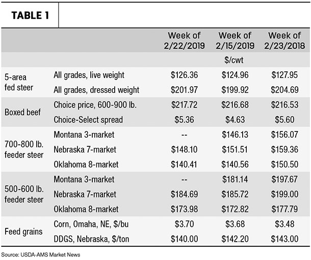 cattle prices