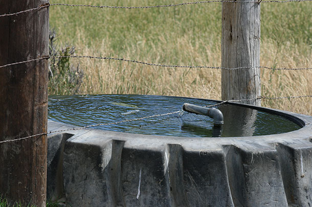 Lay water lines