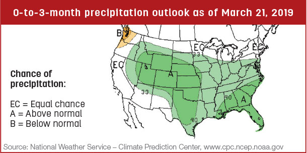 Precipitation map
