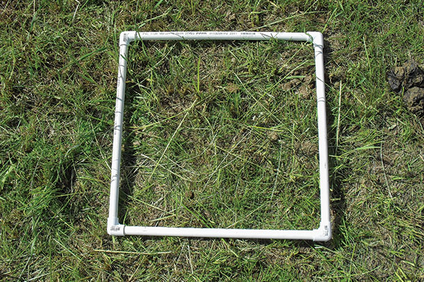 Post-graze on a severely grazed pasture