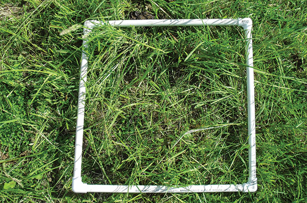 Post -graze with an appropriate residual