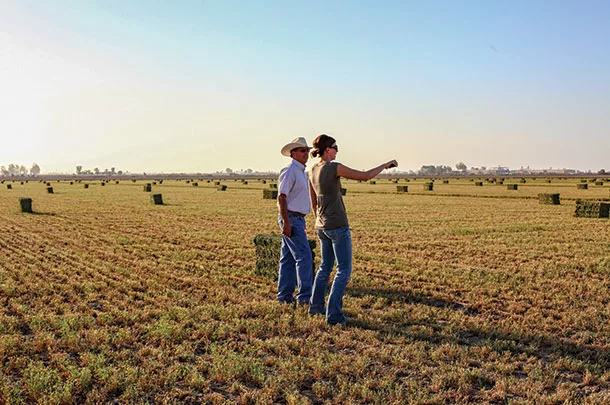 Auditor visits with a producer