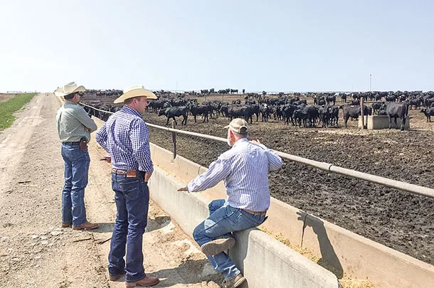Watch for spoiled silage in your bunks