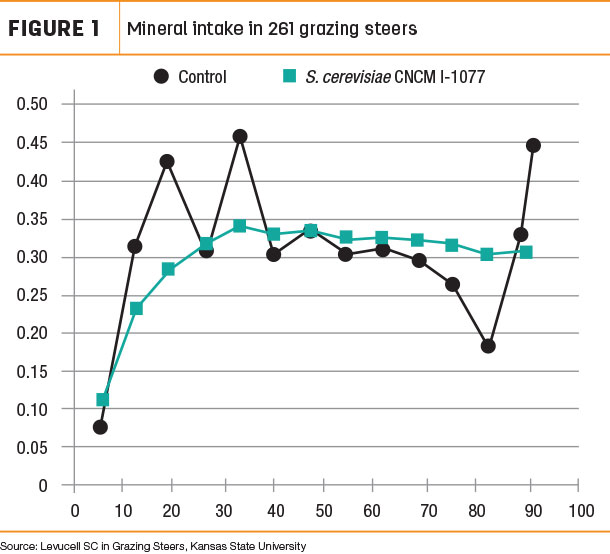 Mineral intake in 261 grazing steers