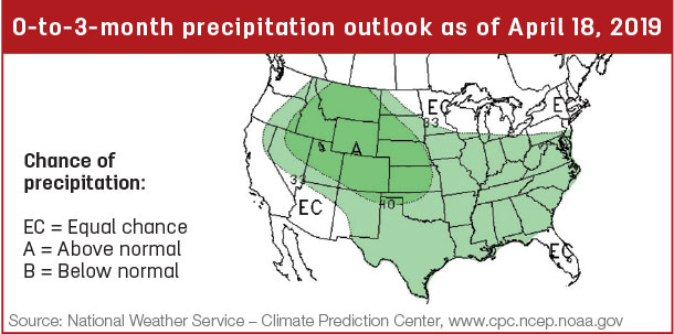 Precipitation map