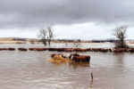 Getting feed out to the stranded cattle