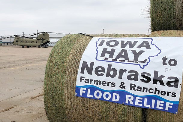 Donated hay
