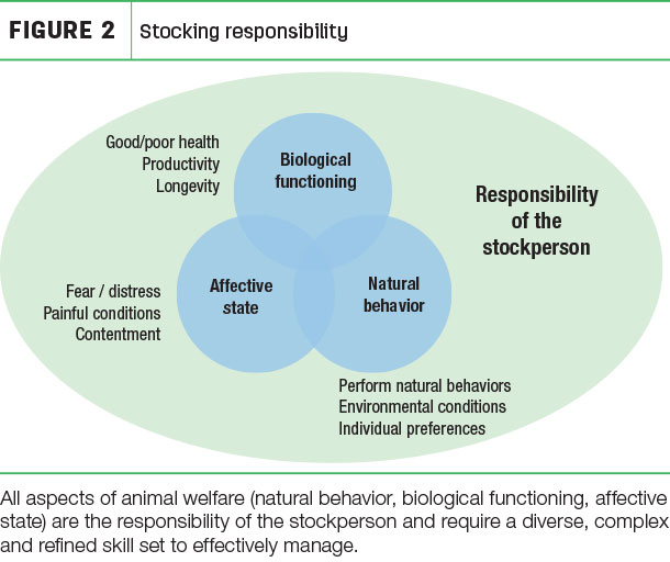 Stocking responsibility