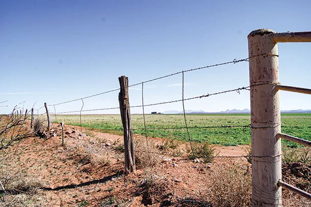Five-strand fence