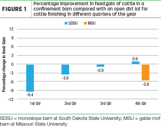 Percentage improvement in feed:gain of cattle in a confinement barn