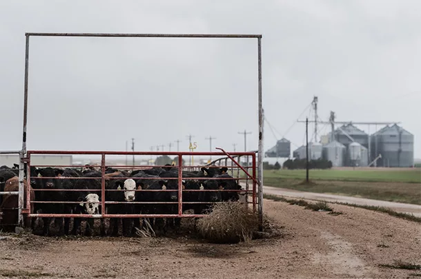 AgAmerica Alternative Lending