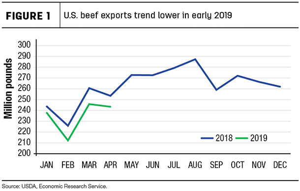 U.S. beef exports trend lower in early 2019