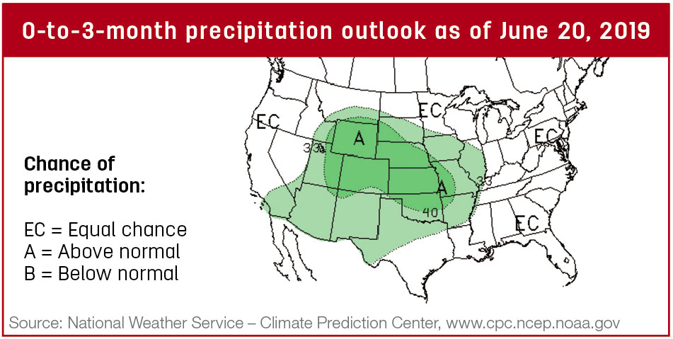 Precipitation map