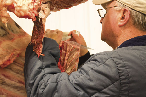 Benton Glaze inspecting a carass
