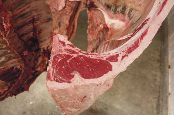 Carcass trait quality is gaining greater emphasis