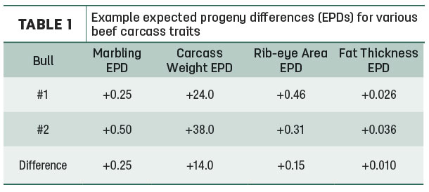 Example expected progeny differences for various beef carcass traits