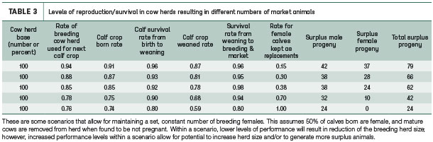 Levels of reproduction/survival in cow herds resulting in different numbers of market animals