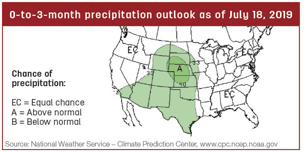 precip map